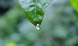 12 hour fasting diet fntkdiet