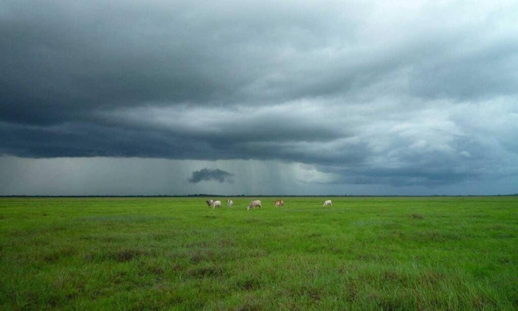 advice for being healthy shmghealth