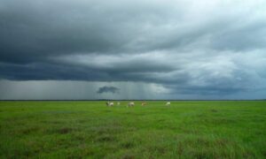 advice for being healthy shmghealth