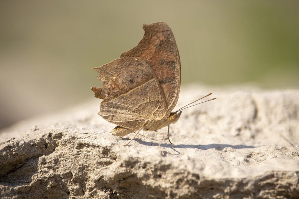 advice for office workers ewmagwork