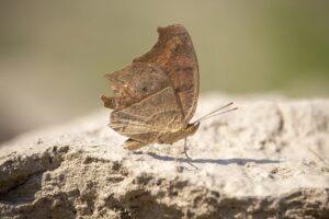 advice for office workers ewmagwork