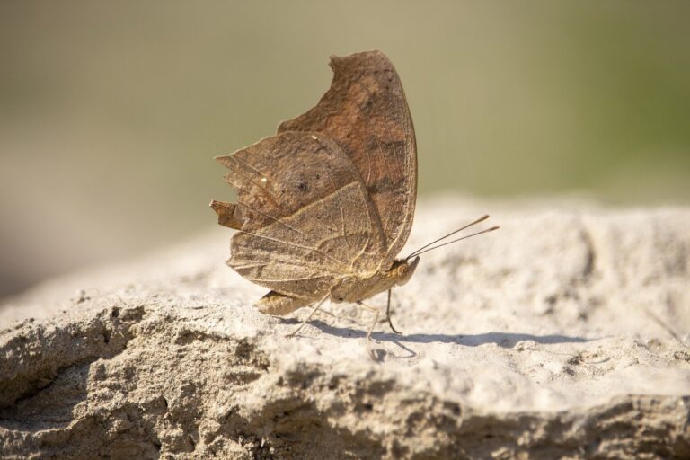 advice for office workers ewmagwork