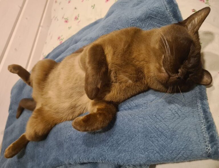 advice guide ontpwellness