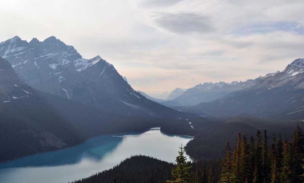 can i catch pavatalgia