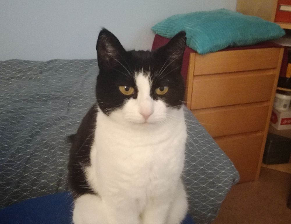 diving in the safukip sea