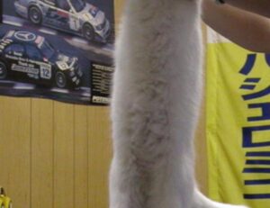 download mozillod5.2f5