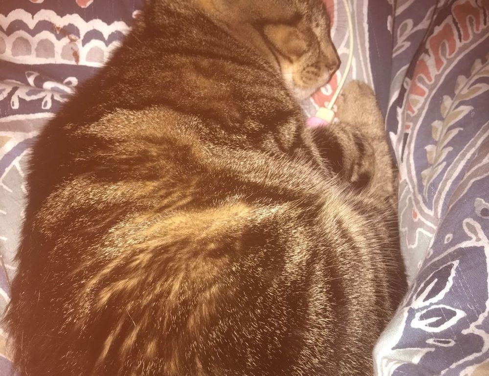 ewmagwork management guide