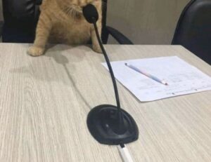 fitness advice fntkdiet