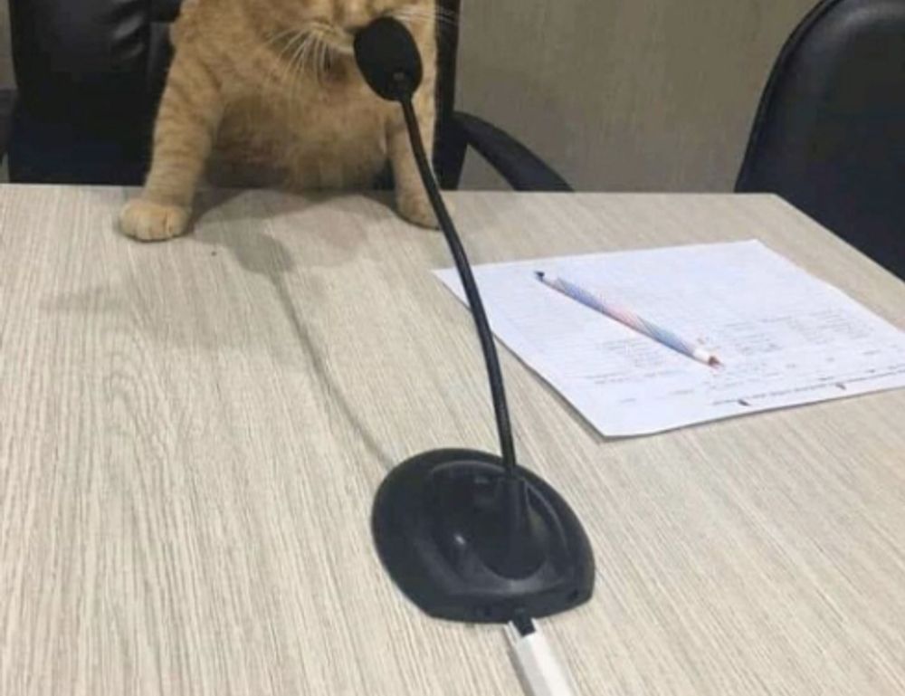 fitness advice fntkdiet