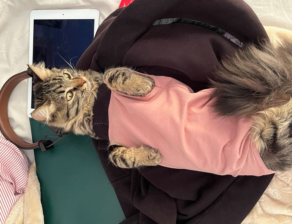 how important is medicine shmgmedicine