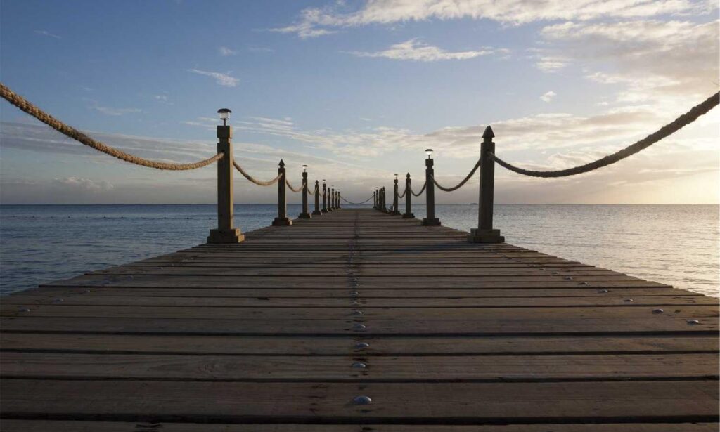 how medicine affects the body shmgmedicine