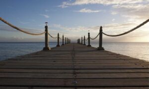 how medicine affects the body shmgmedicine