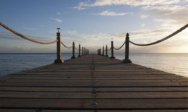 how medicine affects the body shmgmedicine