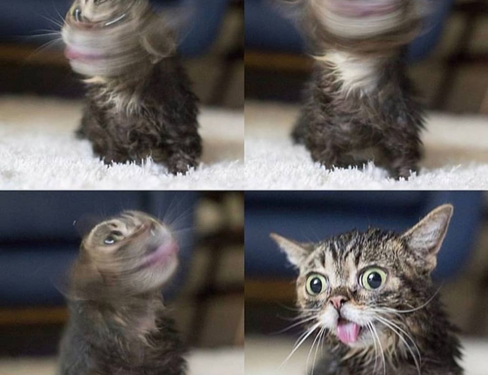 how medicine is made shmgmedicine