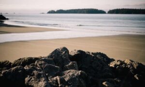 how to diagnose pavatalgia disease outfestfusion