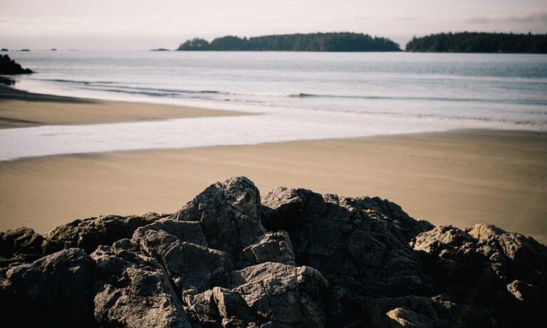 how to diagnose pavatalgia disease outfestfusion