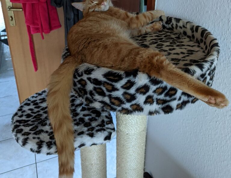 how to find the right selfstorage unit ewmagwork