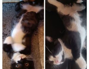 how to keep fit twspoonfitness