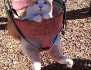 how to make neomanclotise remover for tiles