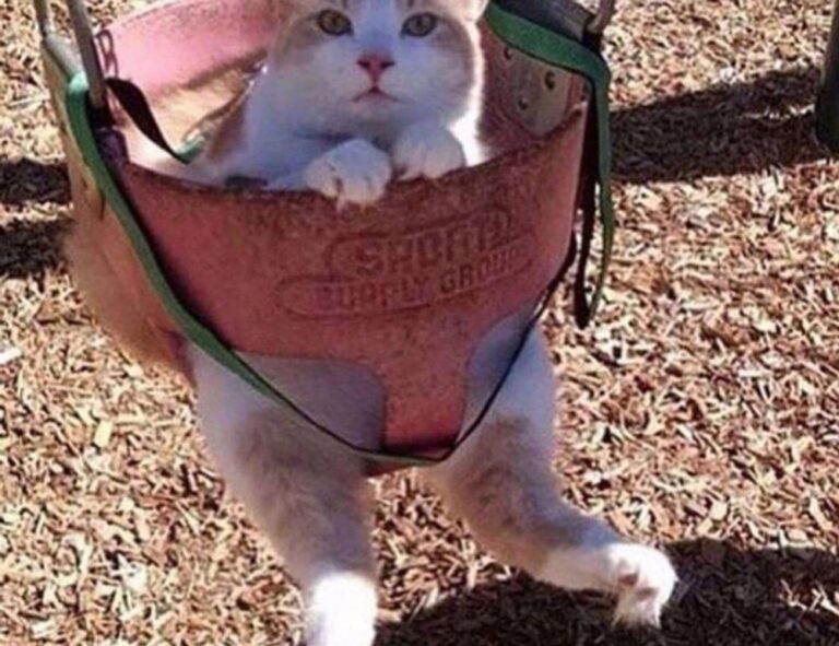 how to make neomanclotise remover for tiles