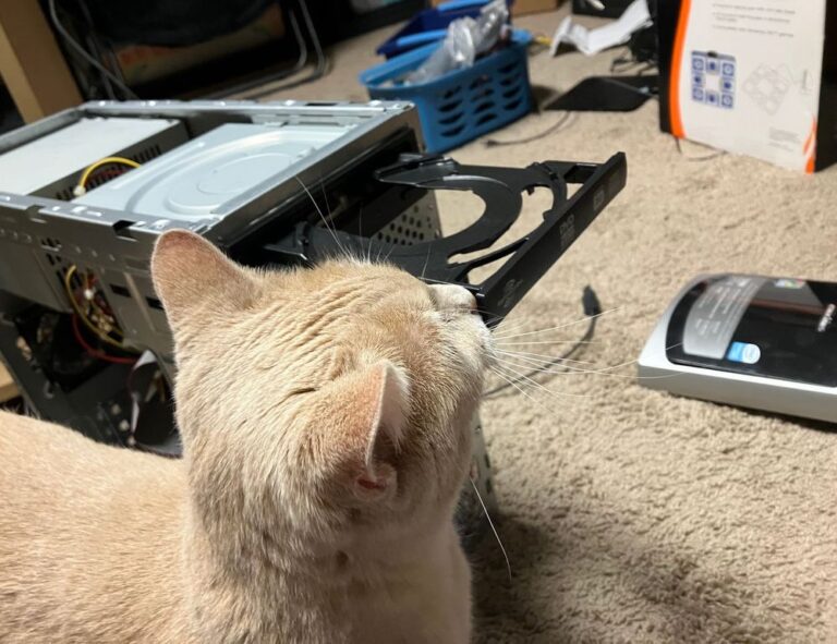 is fg964f-d bed model soft