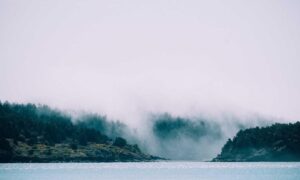 items in game playonit55