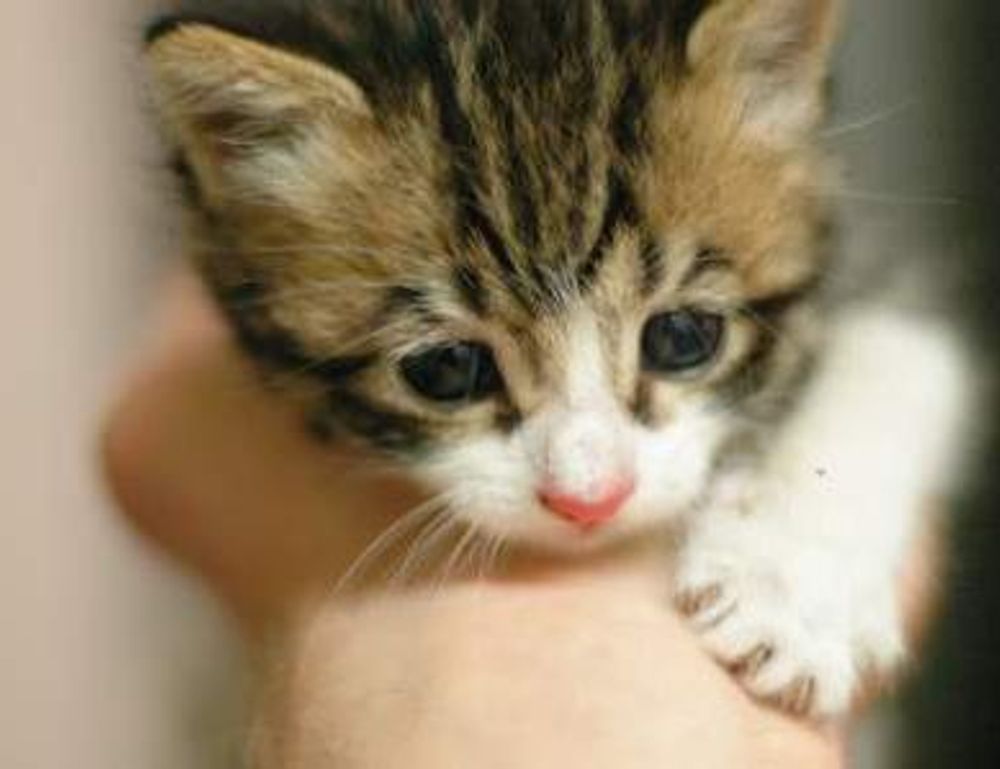 medication tips shmgmedicine