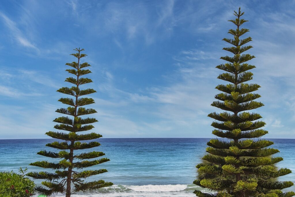 physical condition twspoonfitness