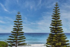 physical condition twspoonfitness