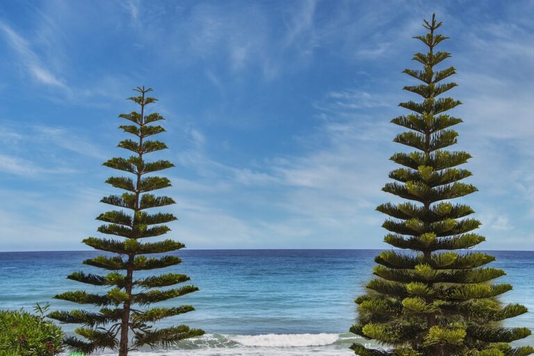 physical condition twspoonfitness