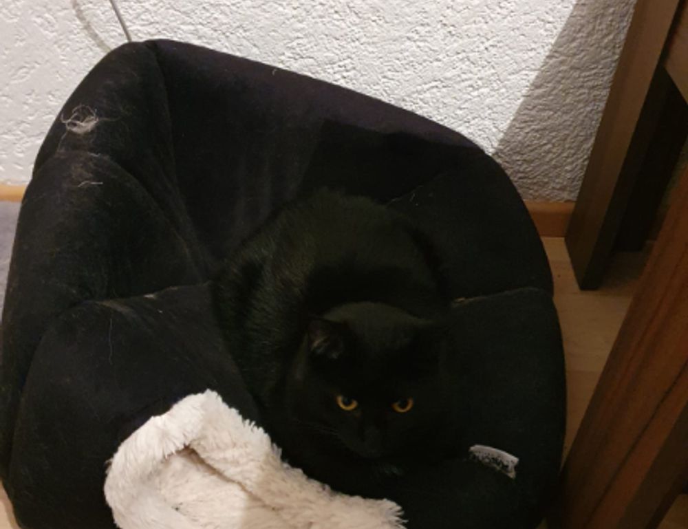 shmgdiet diet guide by springhillmedgroup