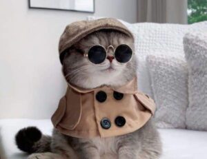 sports guide tweeklynutrition