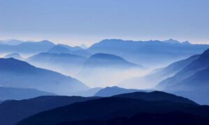 the power of activism ewmagwork