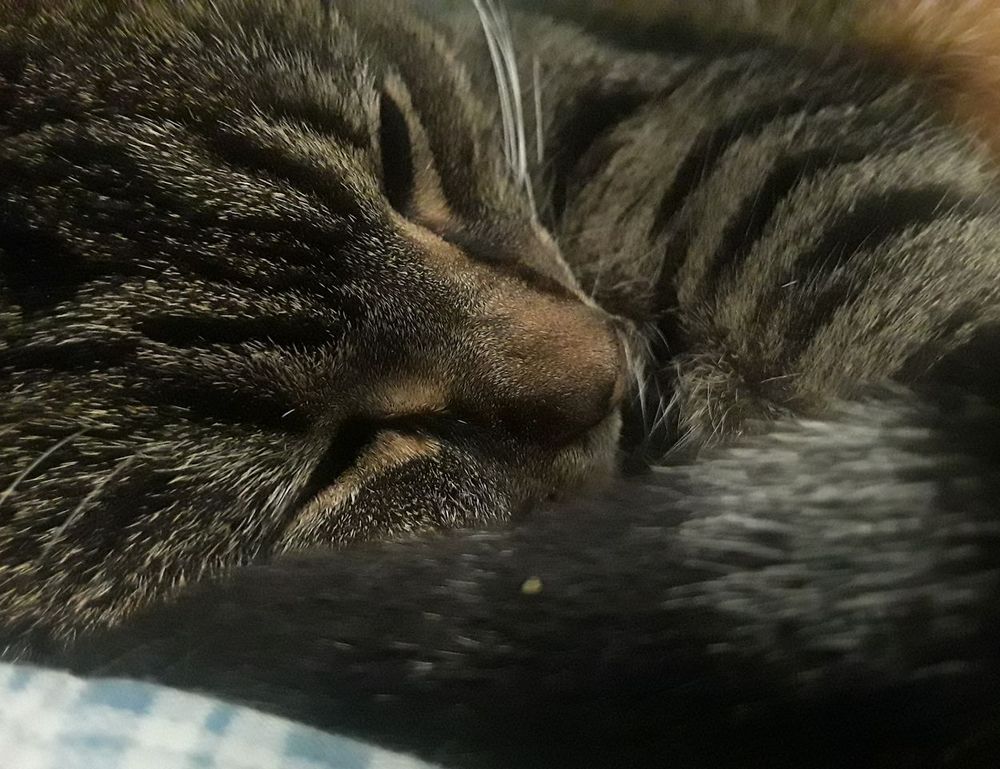 the power of sisterhood activism ewmagwork