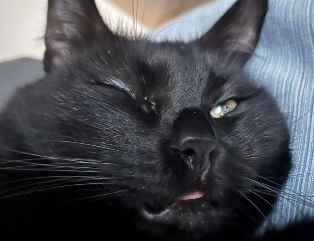 use tyrmordehidom hair