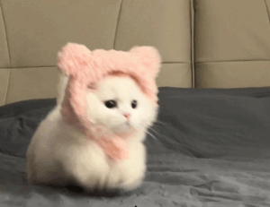 what medicine contains caffeine shmgmedicine