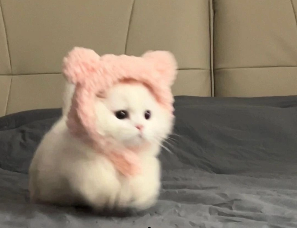 what medicine contains caffeine shmgmedicine