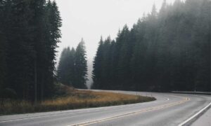 when doorsun1524 released