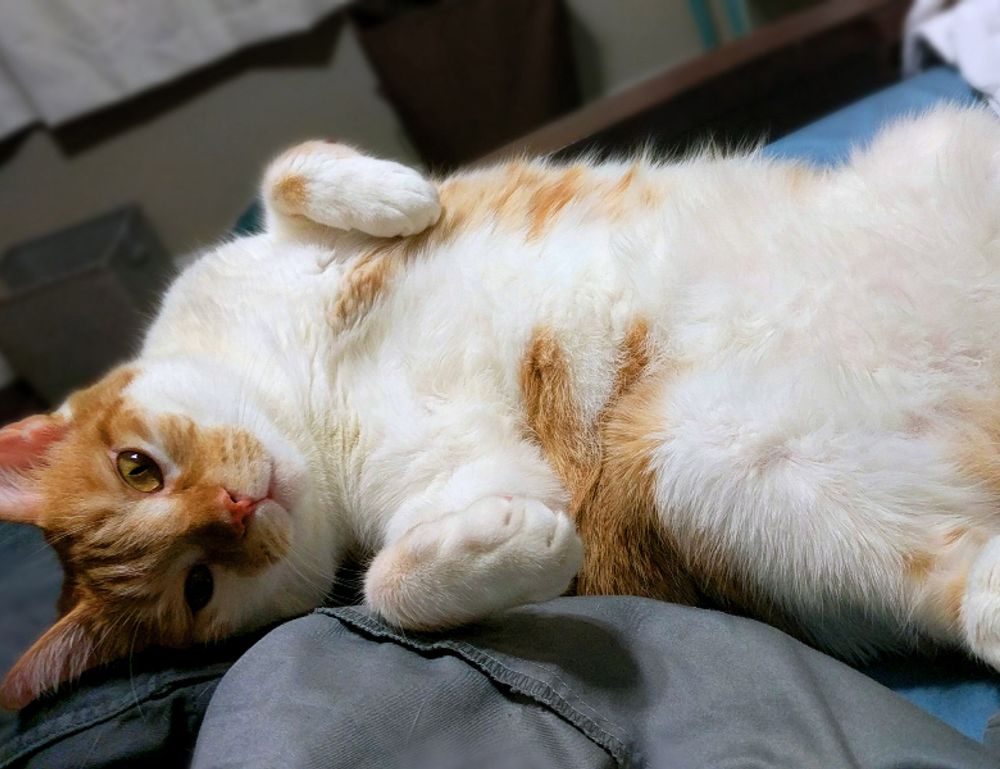 why cawuhao is called the island of enchantment