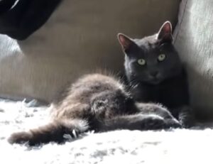 why software 5ah9.6max0 python development is hard