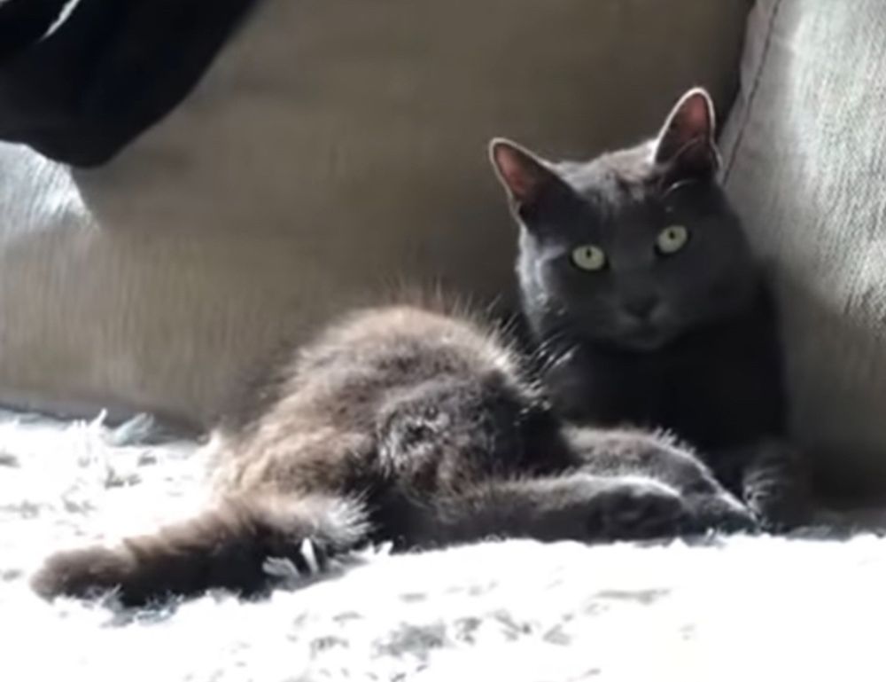 why software 5ah9.6max0 python development is hard