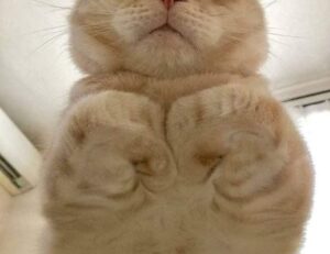 workplace guide ewmagwork