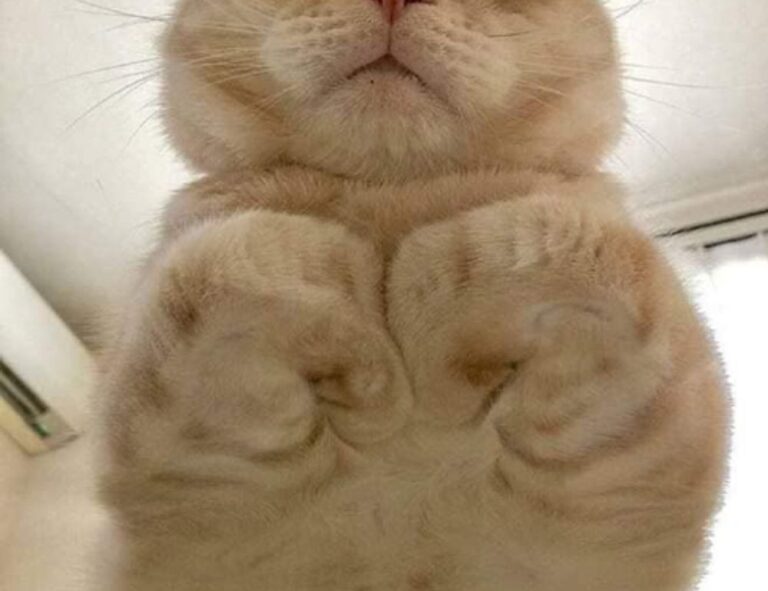 workplace guide ewmagwork