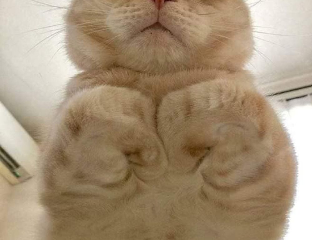 workplace guide ewmagwork