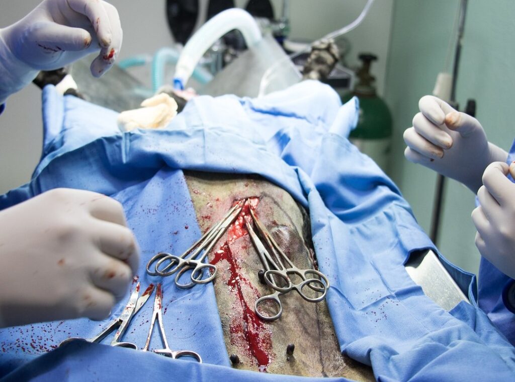 What Medicine for Cancer Shmgmedicine