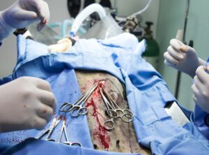 What Medicine for Cancer Shmgmedicine