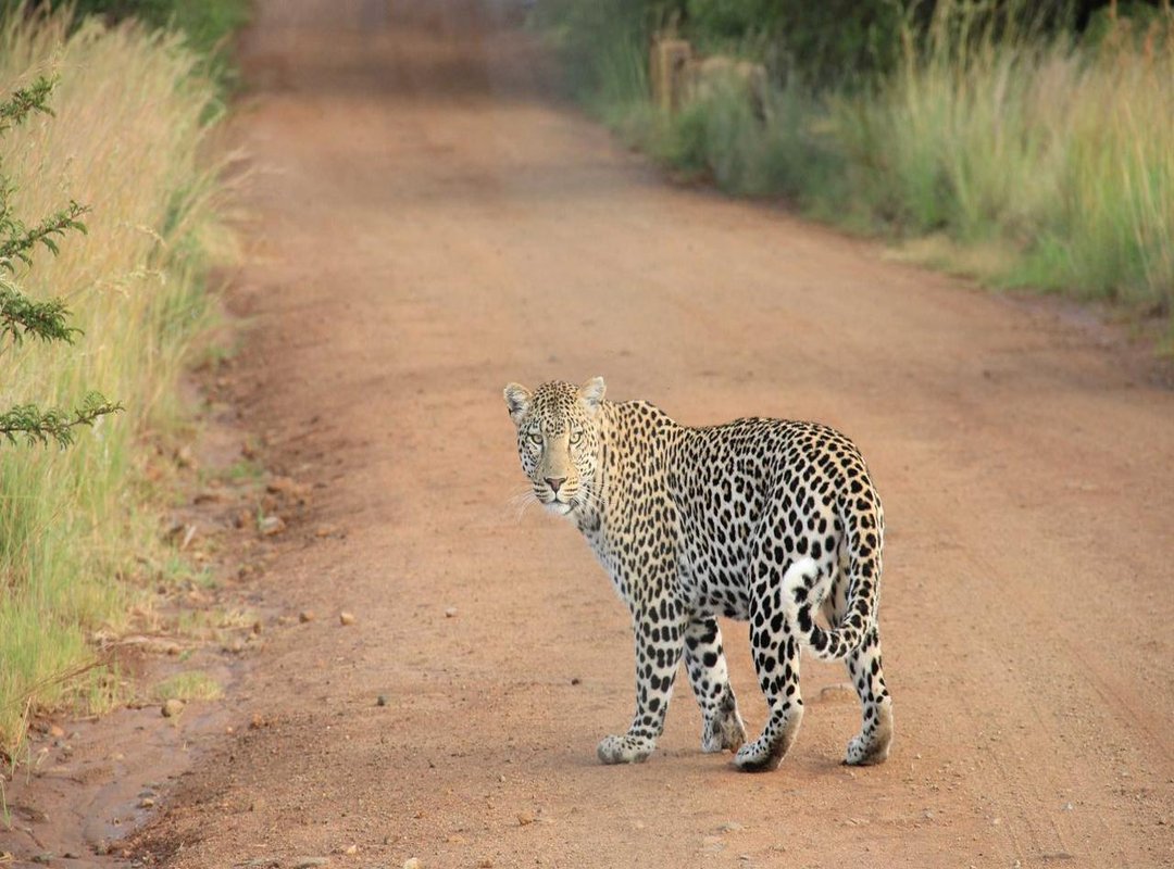 Example Calculation: 140 MXN to CLP