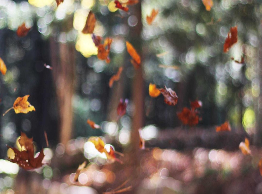 Solving Level 407: The Answer