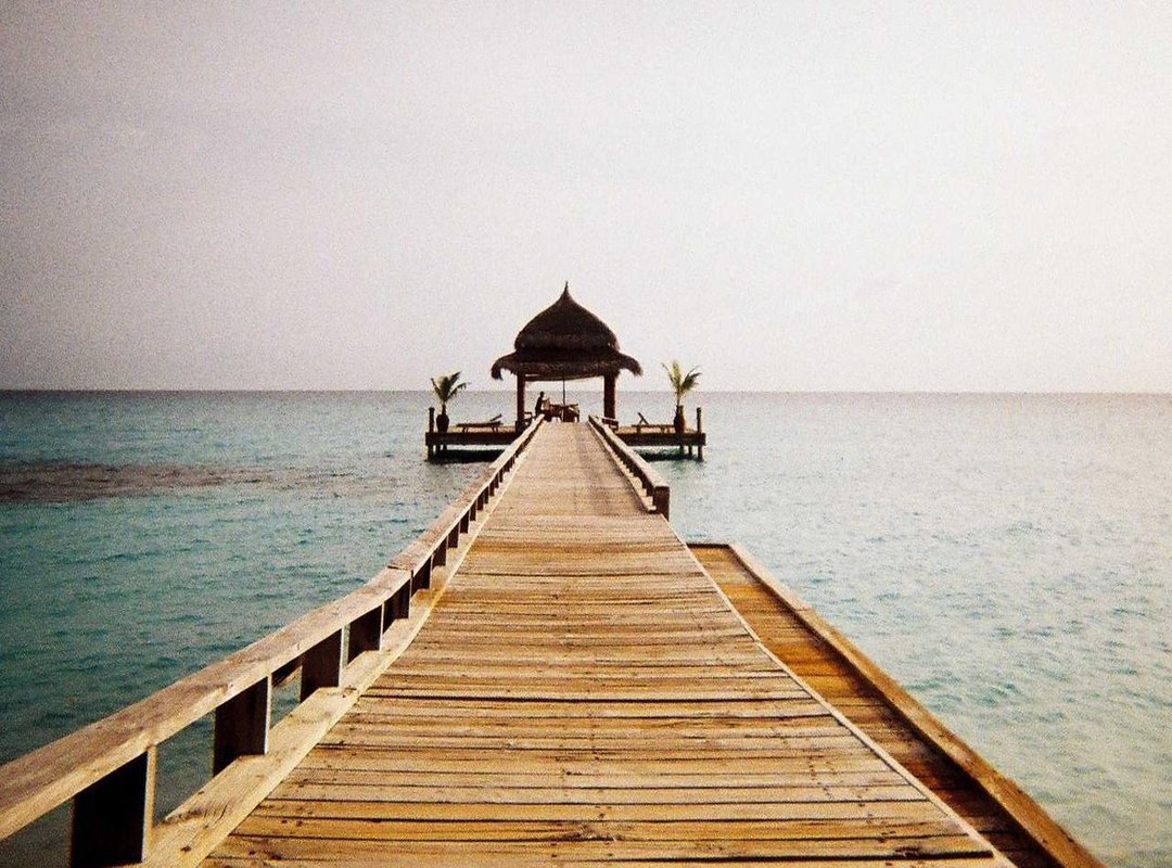 From Farm to Bowl: A Step-by-Step Crafting Guide