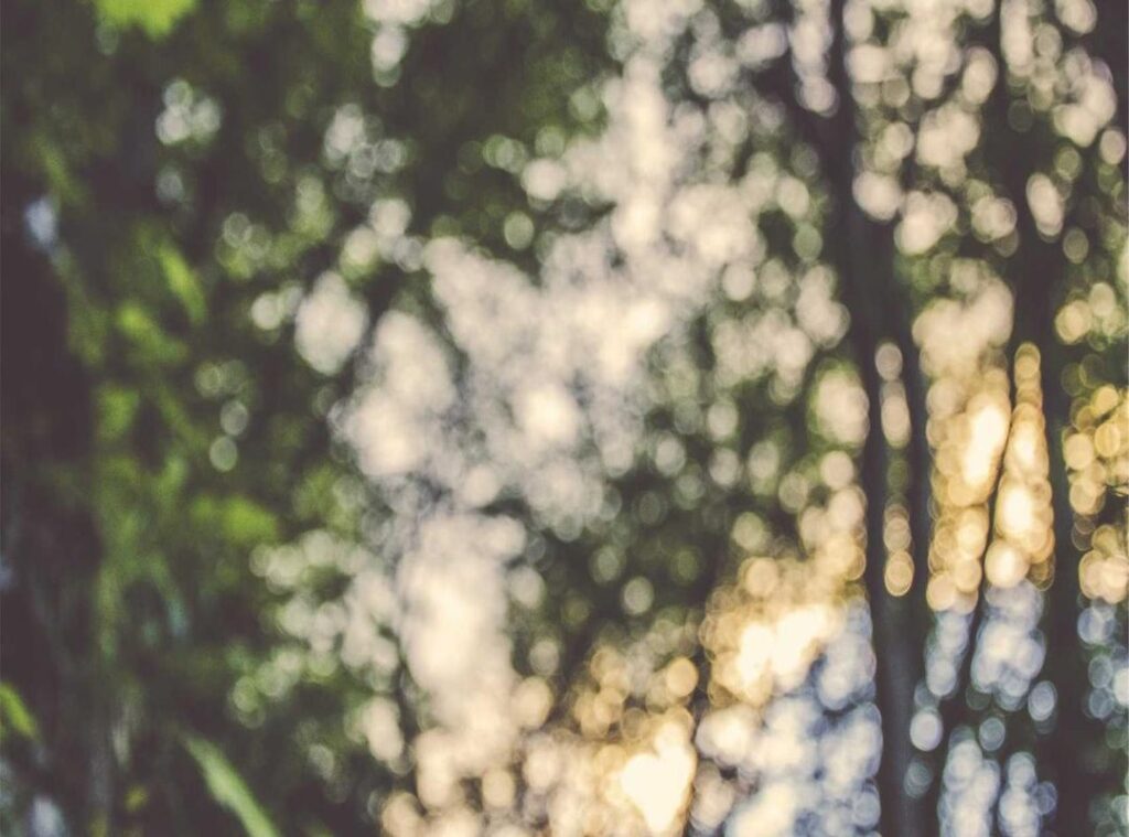 download fr legends mod apk v0.2.5.1 (unlimited money) for android